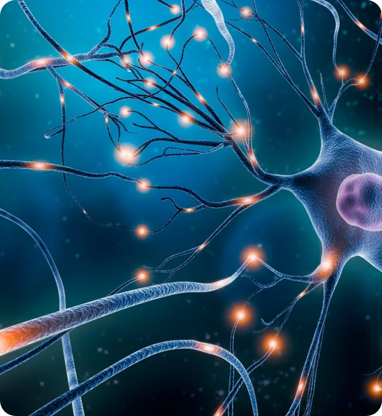 Boost NAD+ Levels within 24 hours!(More Energy)